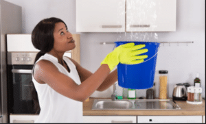 How Professional Plumbers Prevent Lemon Grove Plumbing Disasters?