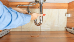 Ways To Take Care Of Your Plumbing In Rainy Season Lemon Grove